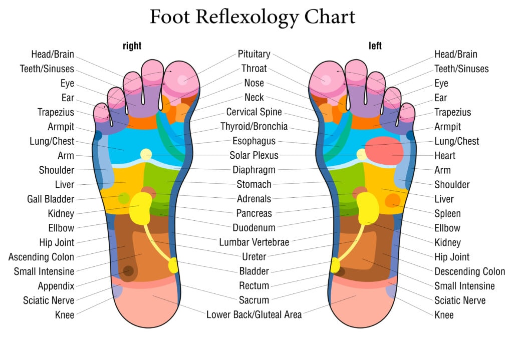 Foot reflexology chart description